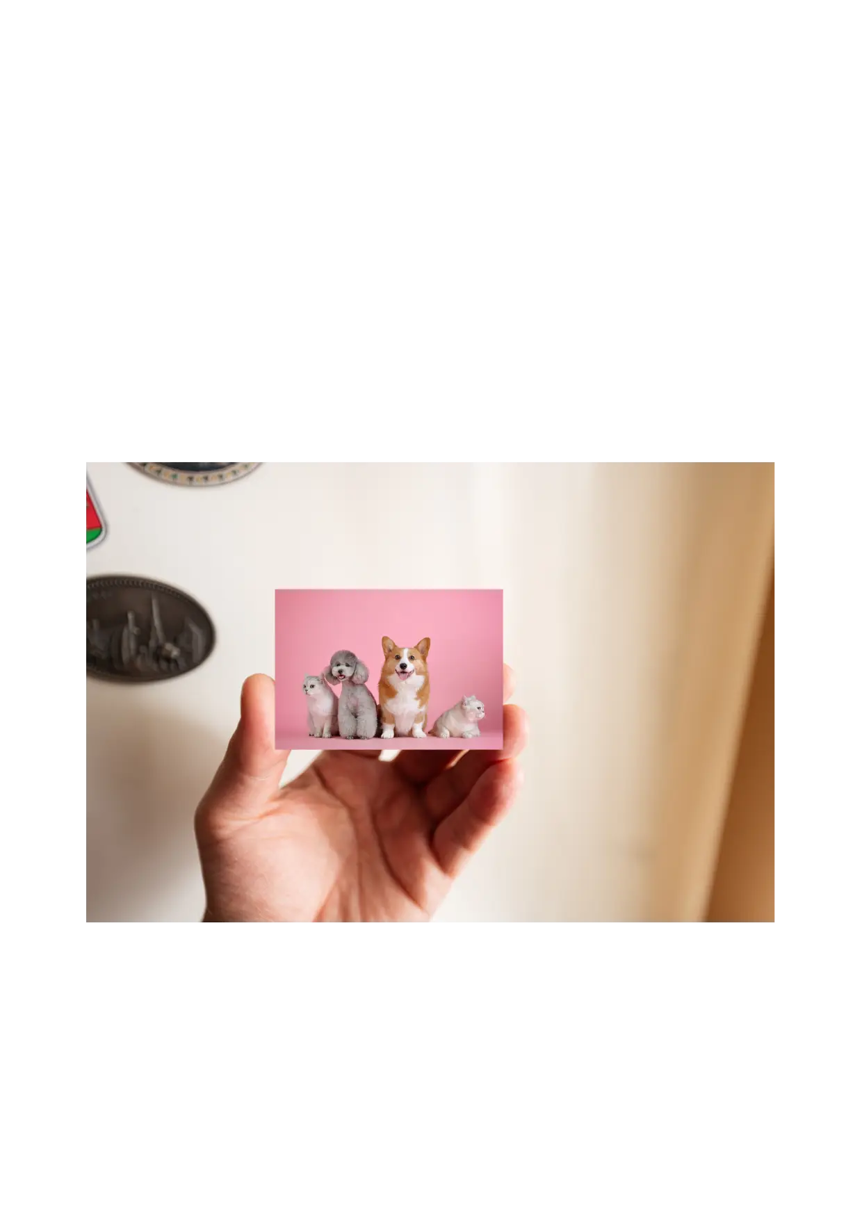 Personalized Photo Fridge Magnet, Personalized Magnet, Birthday Gift, Memory Gifts, Gift for Her, Gift for Him, Mother's Day Gift My Store Personalized Photo Fridge Magnet, Personalized Magnet, Birthday Gift, Memory Gifts, Gift for Her, Gift for Him, Mother's Day Gift