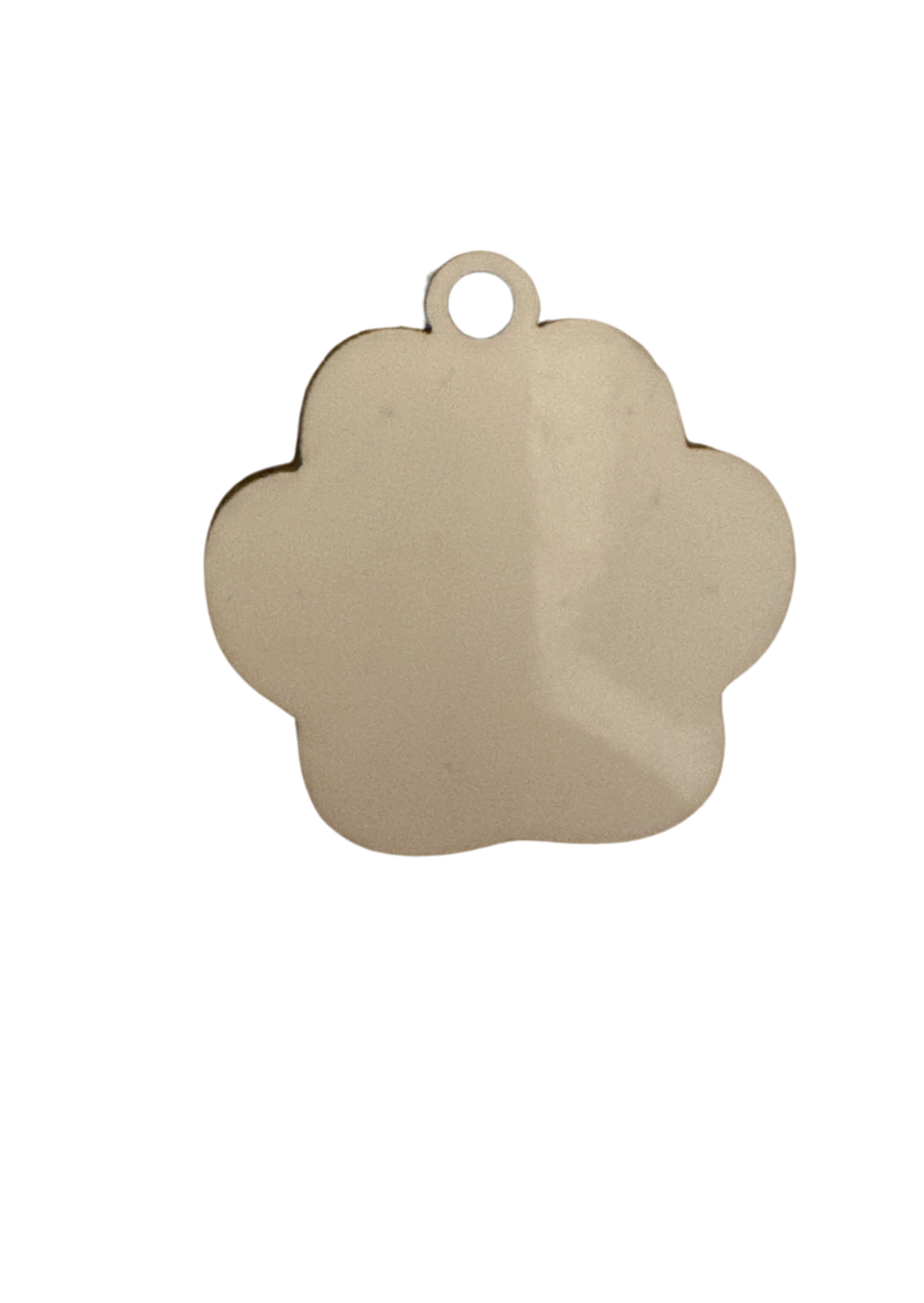Personalized Double-Side Printed Pet Tag, Pet Owner Gift, Pet Lovers Gifts