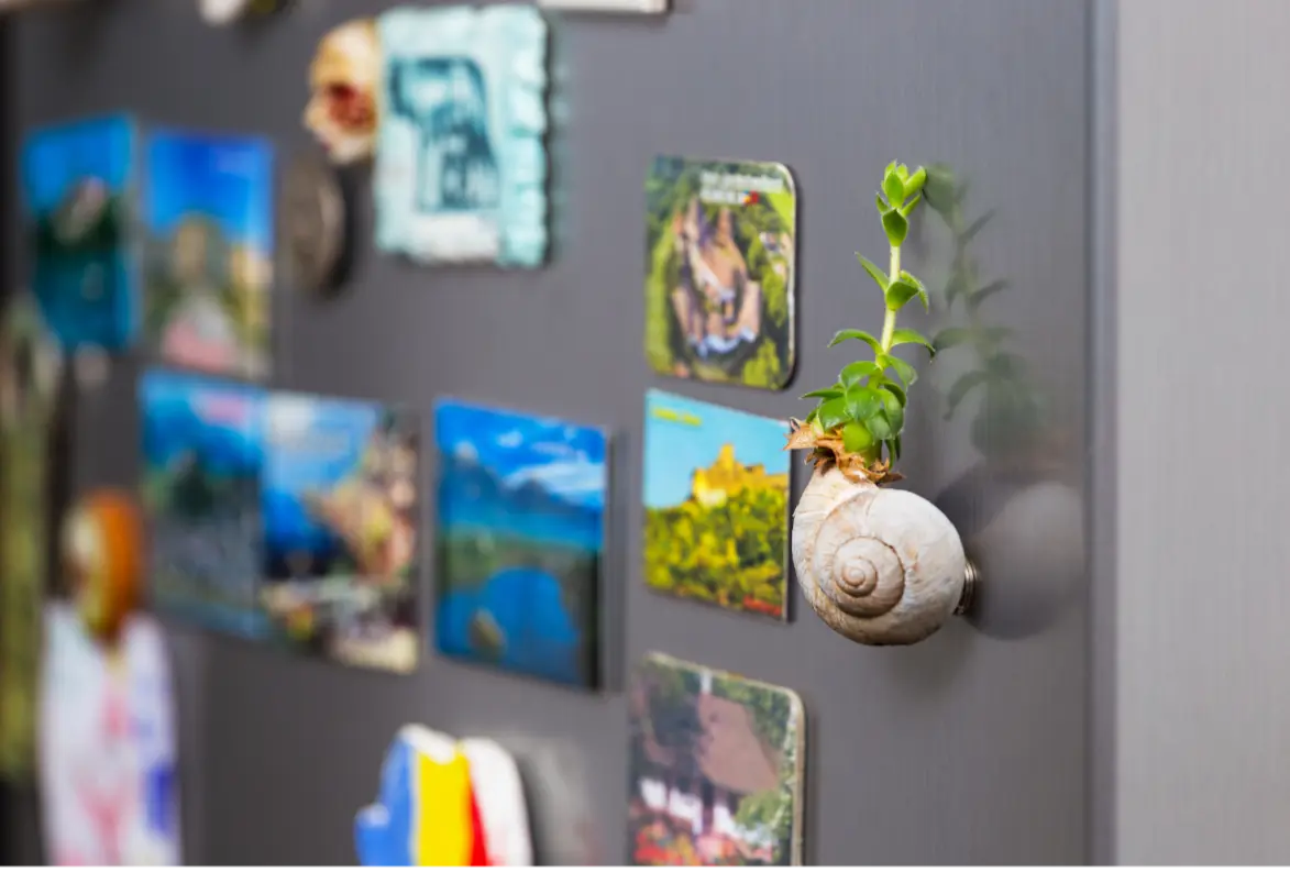 Personalized Photo Fridge Magnet, Personalized Magnet, Birthday Gift, Memory Gifts, Gift for Her, Gift for Him, Mother's Day Gift My Store Personalized Photo Fridge Magnet, Personalized Magnet, Birthday Gift, Memory Gifts, Gift for Her, Gift for Him, Mother's Day Gift