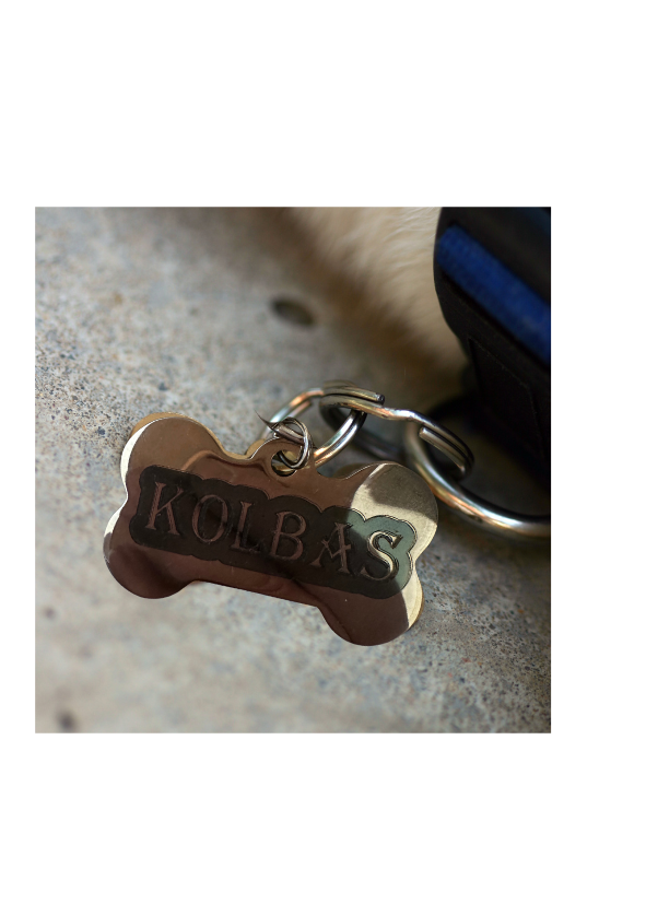 Personalisable Laser Engraved Stainless Steel Bone Pet ID Collar Tag, Dog Owner Gift, Pet Lover Gift