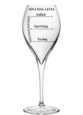 Load image into Gallery viewer, Funny Engraved Wine Glass Set Krevana Funny Engraved Wine Glass Set
